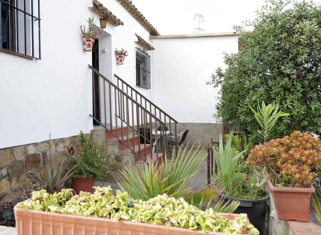 Appartamento Casa Juncal Tarifa Esterno foto